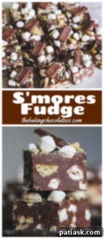 Effortless S'mores Fudge 15 Best S'mores Fudge with marshmallow and graham crackers