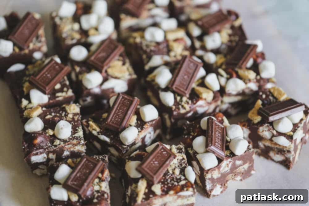 Effortless S'mores Fudge 6 Individual S'mores Fudge squares, showcasing the dense, rich texture with visible marshmallows and graham cracker pieces