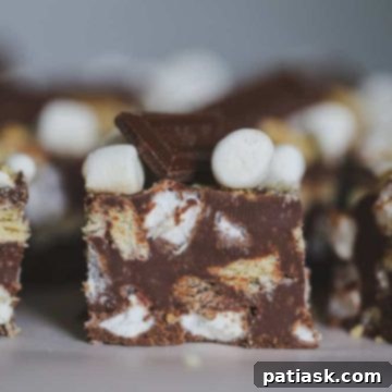 Effortless S'mores Fudge 9 Easy S'mores Fudge recipe image