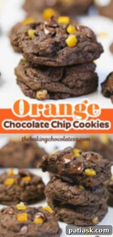Decadent Double Chocolate Orange Cookies 12 cookies with dried fruit