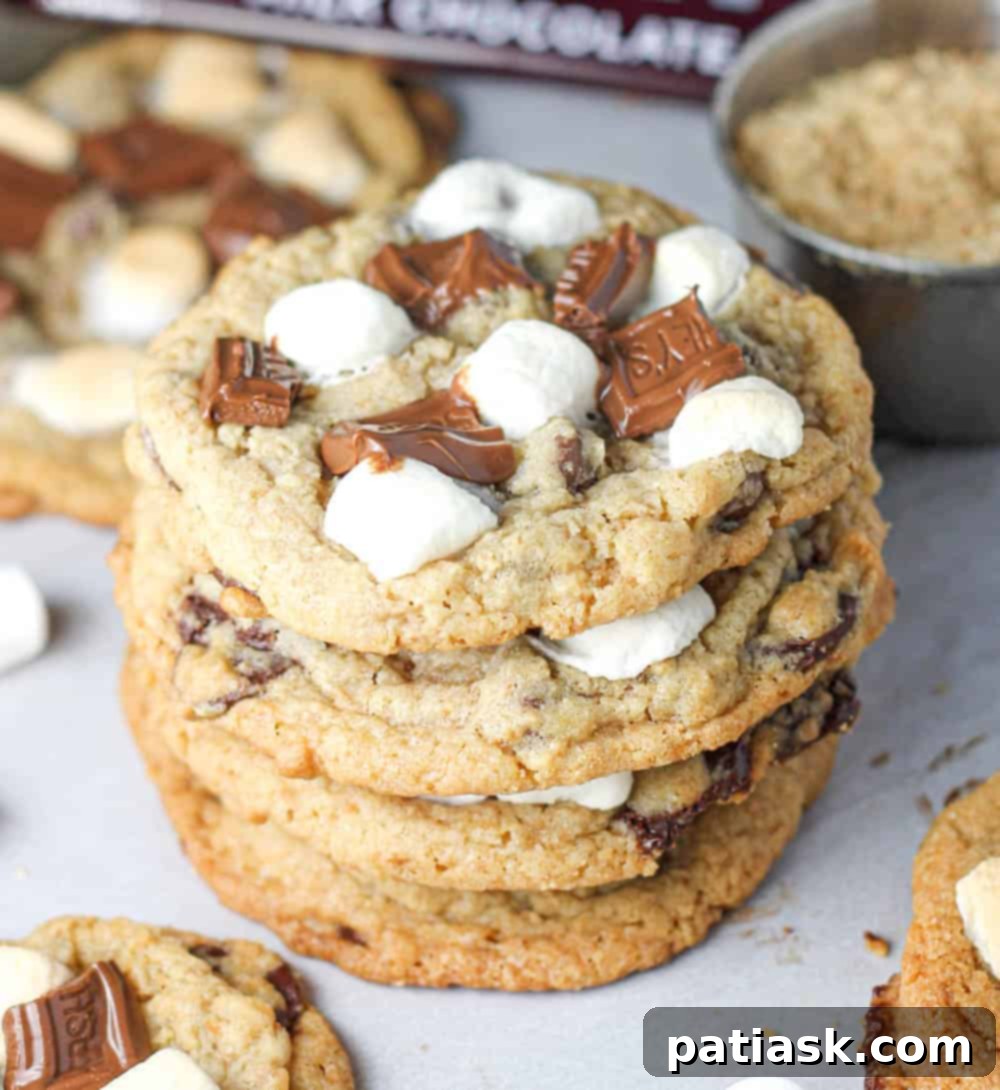 6_dM3BIQ-2 gooey S'mores Chocolate Chip Cookie Recipe