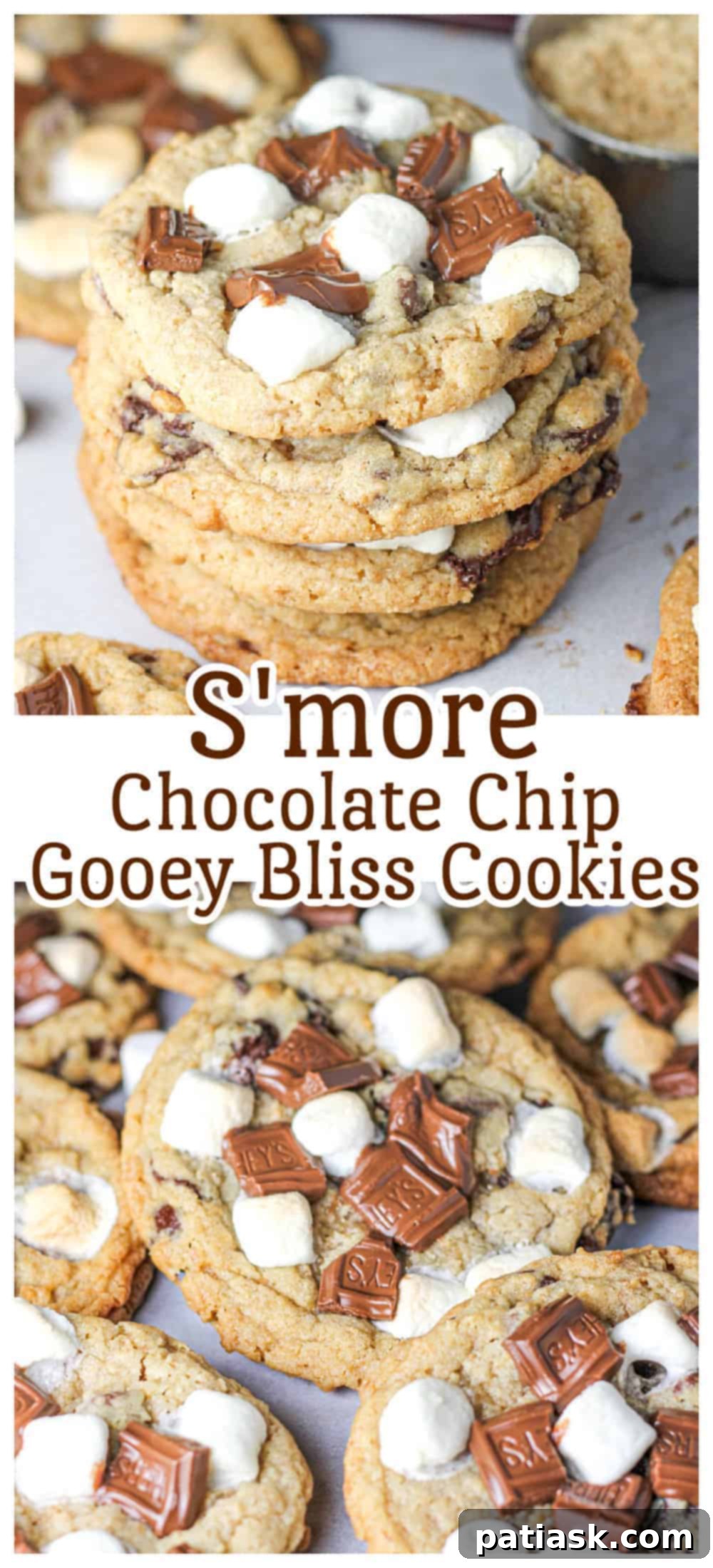 Ultimate Gooey S'mores Chocolate Chip Cookies 4 S'more Chocolate Chip Gooey Bliss Cookies