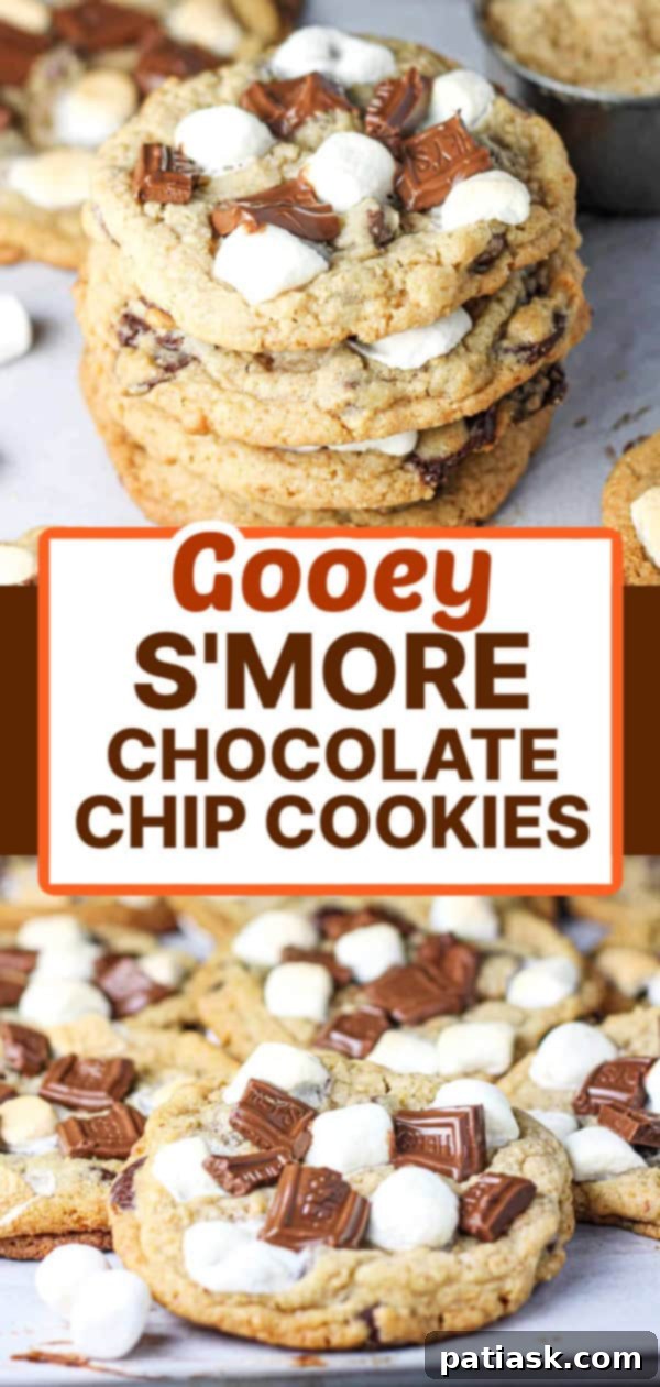 Ultimate Gooey S'mores Chocolate Chip Cookies 8 SUMMER DESSERT