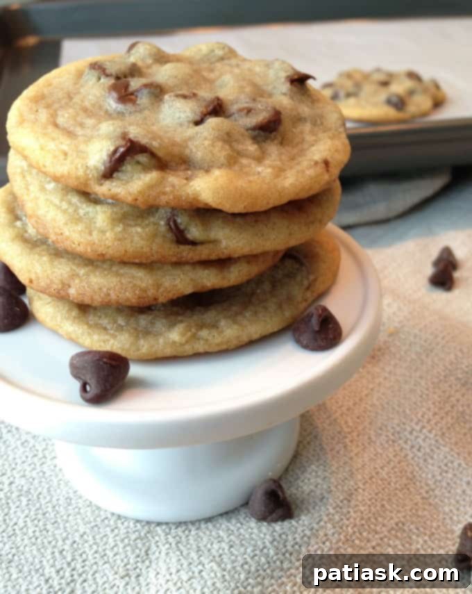 25 Fantastic Chocolate Chip Cookie Recipes 10 Chewy Chocolate Chip Cookies recipe image