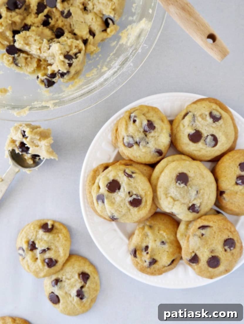 25 Fantastic Chocolate Chip Cookie Recipes 11 Ultimate Chewy Vegan Chocolate Chip Cookies image