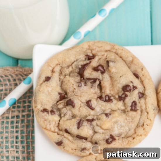 25 Fantastic Chocolate Chip Cookie Recipes 14 Thick and Chewy Chocolate Chip Cookies recipe image