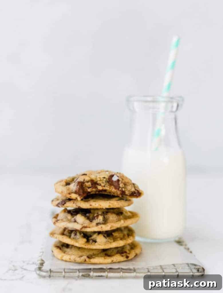 25 Fantastic Chocolate Chip Cookie Recipes 20 The Best Chocolate Chip Cookies recipe image