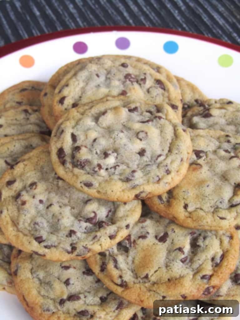 25 Fantastic Chocolate Chip Cookie Recipes 21 My Favorite Chewy Chocolate Chip Cookie recipe image