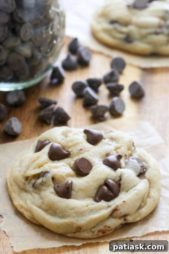 25 Fantastic Chocolate Chip Cookie Recipes 4 Super Soft Chocolate Chip Cookies recipe image