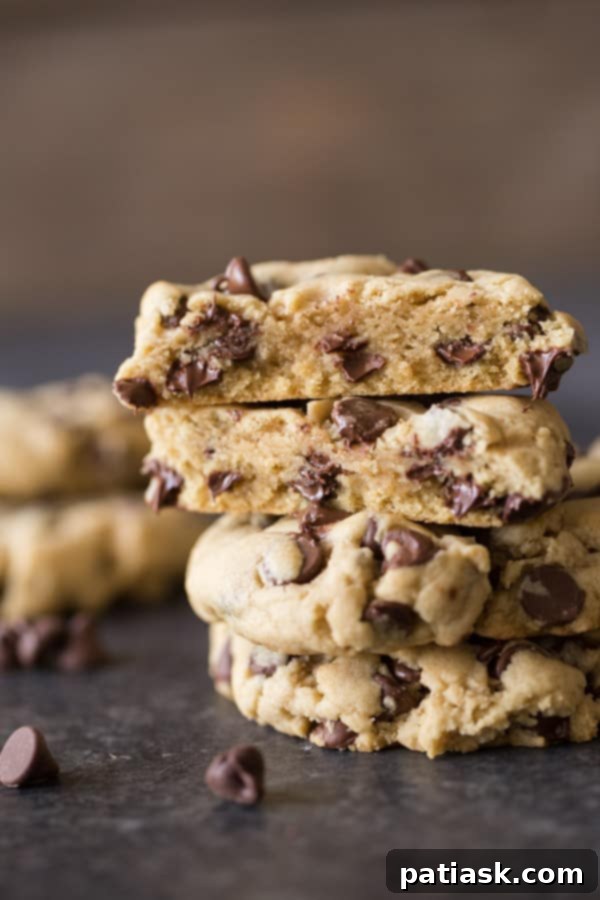 25 Fantastic Chocolate Chip Cookie Recipes 5 Ultimate Chocolate Chip Cookies recipe image