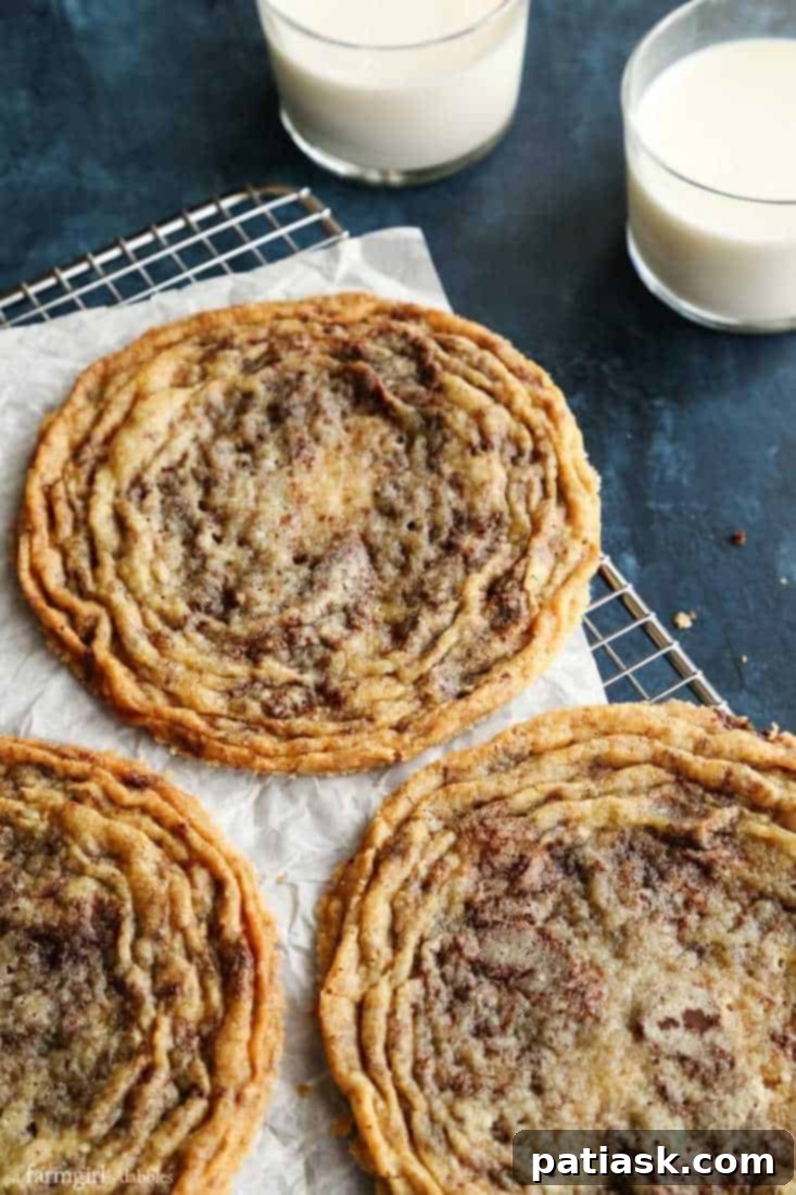 25 Fantastic Chocolate Chip Cookie Recipes 7 Chocolate Chip Cookies from The Vanilla Bean Baking Book image