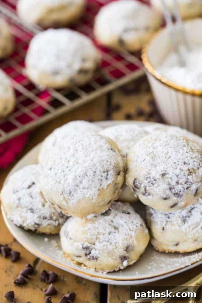 25 Fantastic Chocolate Chip Cookie Recipes 8 Chocolate Chip Snowball Cookies recipe image