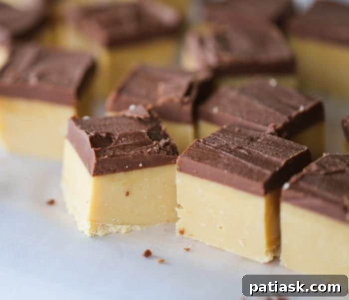 No-Fuss Buckeye Fudge 7 Variety of Buckeye Fudge pieces arranged appealingly on a serving platter