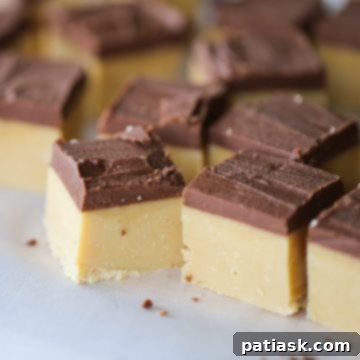 No-Fuss Buckeye Fudge 8 Easy Microwaveable Buckeye Fudge