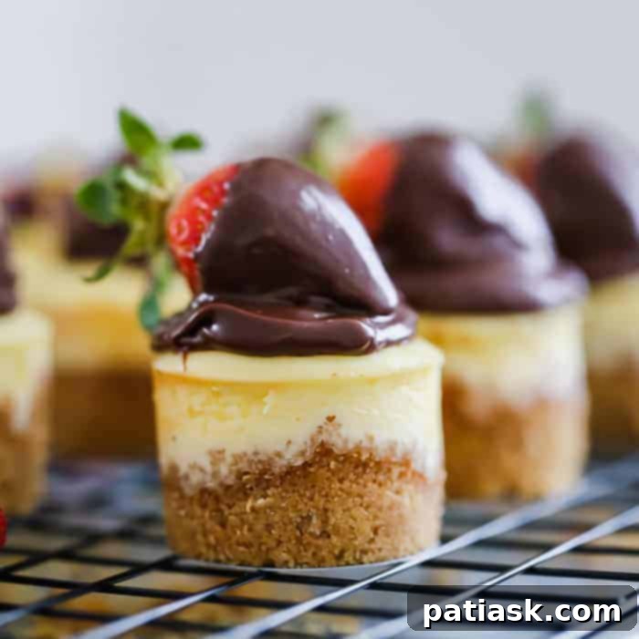 Strawberry chocolate ganache topped mini cheesecakes
