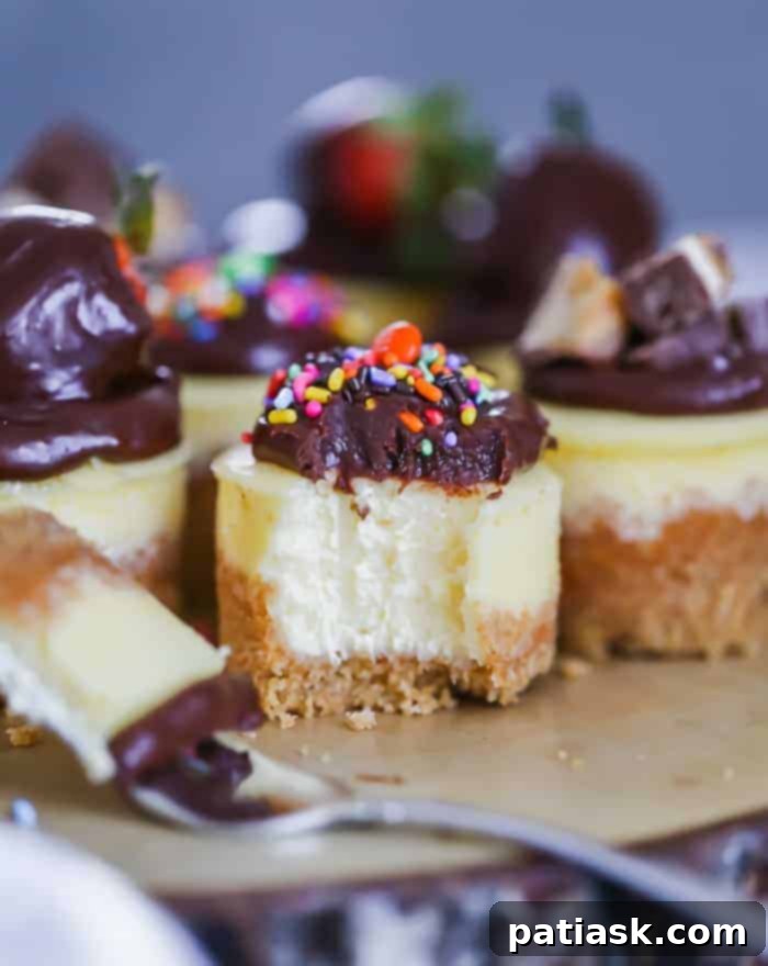 Beautifully decorated mini cheesecakes ready to serve