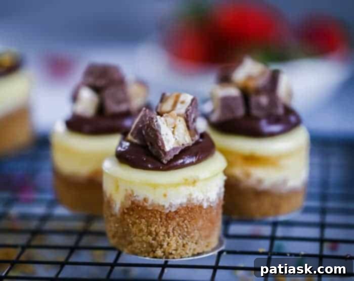 Array of easy mini cheesecakes with different toppings