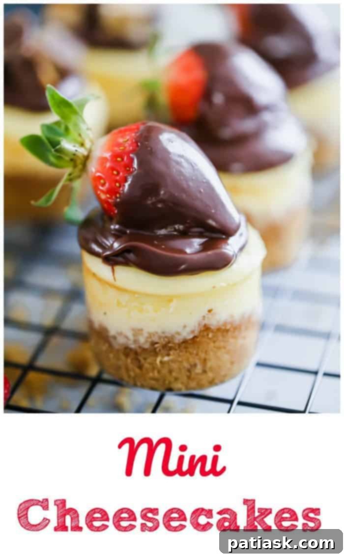 Close-up of a perfectly baked mini cheesecake