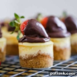Mini Cheesecakes for Any Occasion!