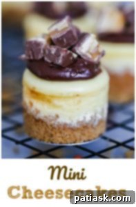 Vanilla mini cheesecake with berry topping