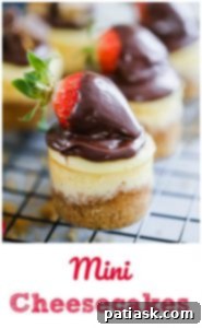 Mini cheesecakes with golden crusts