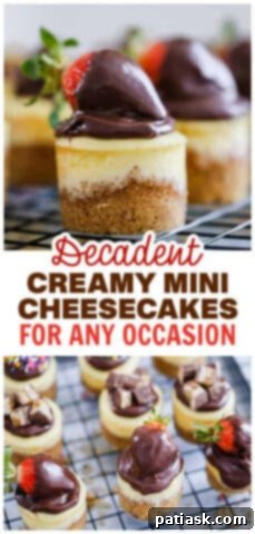 Mini Cheesecakes on a white platter