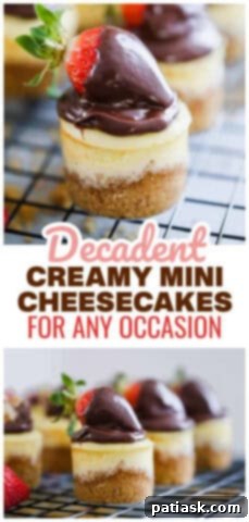 Individual Mini Cheesecakes
