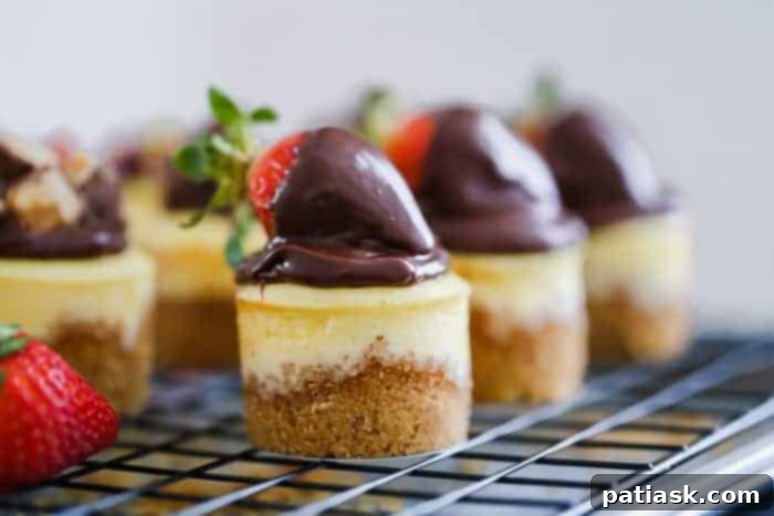 Easy mini cheesecakes, best recipe for individual servings