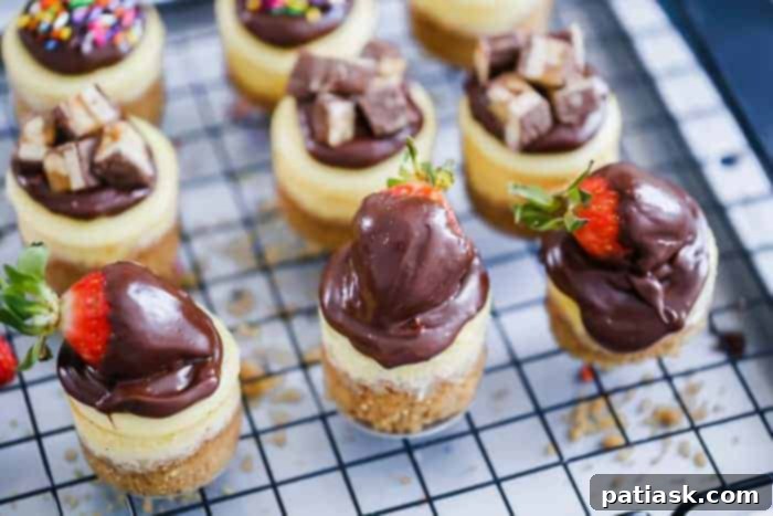 Delicious mini cheesecakes with various toppings