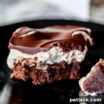 Mallow Cloud Chocolate Brownies 2 Chocolate Covered Fluffy Marshmallow Brownies