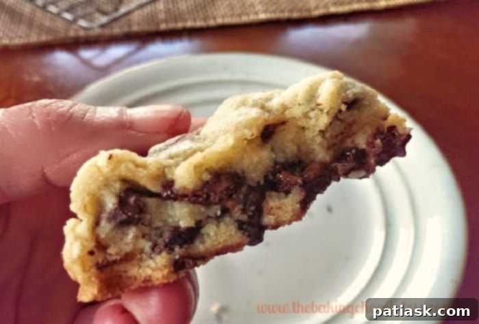 Ultimate Soft Batch Chocolate Chip Bliss 7 Soft Batch Chocolate Chip Cookies! Pure Nirvana!