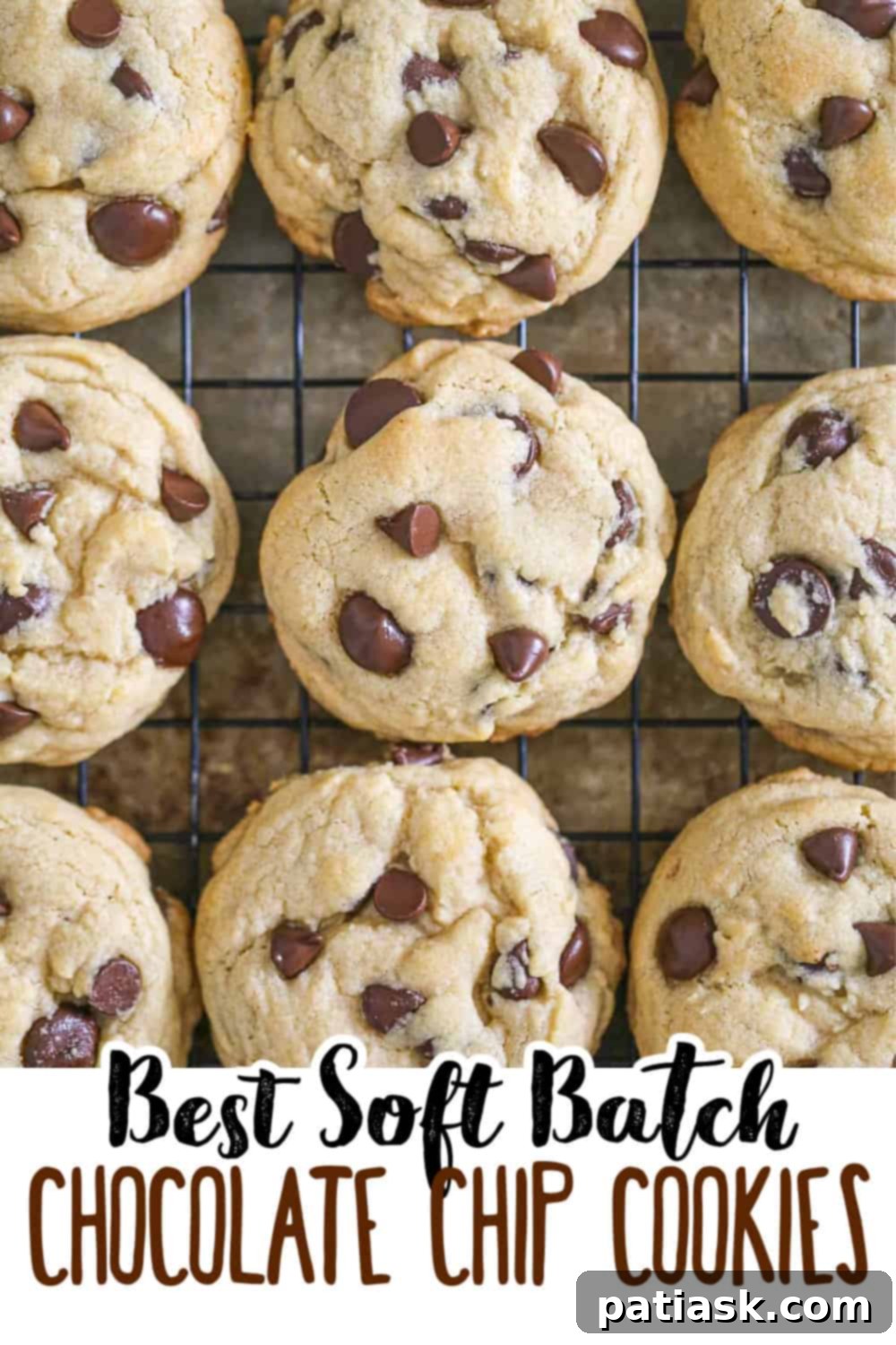 Ultimate Soft Batch Chocolate Chip Bliss 9 Best Soft Batch Chocolate Chip Cookies