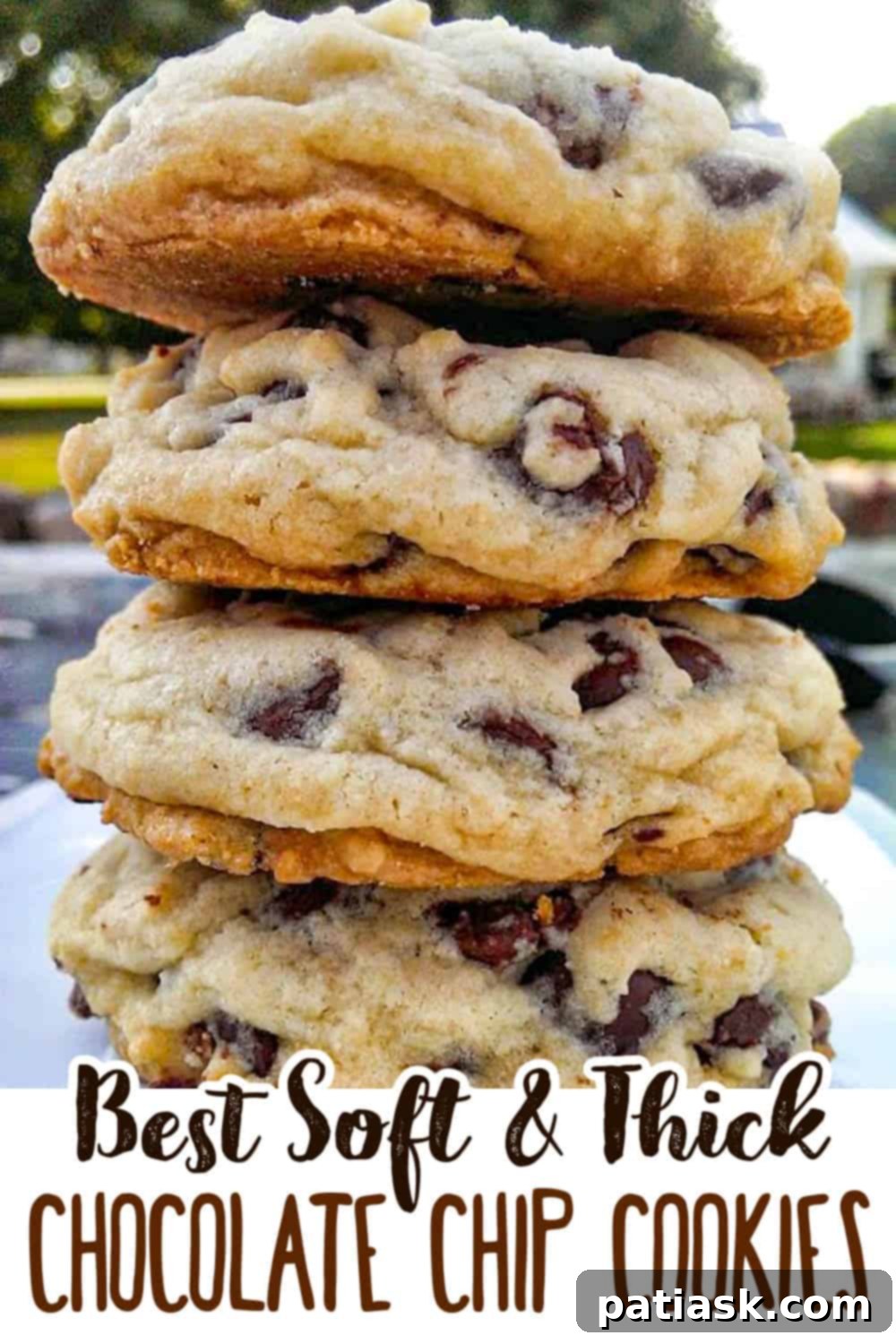 Ultimate Soft Batch Chocolate Chip Bliss 11 Best Soft Batch Chocolate Chip Cookies