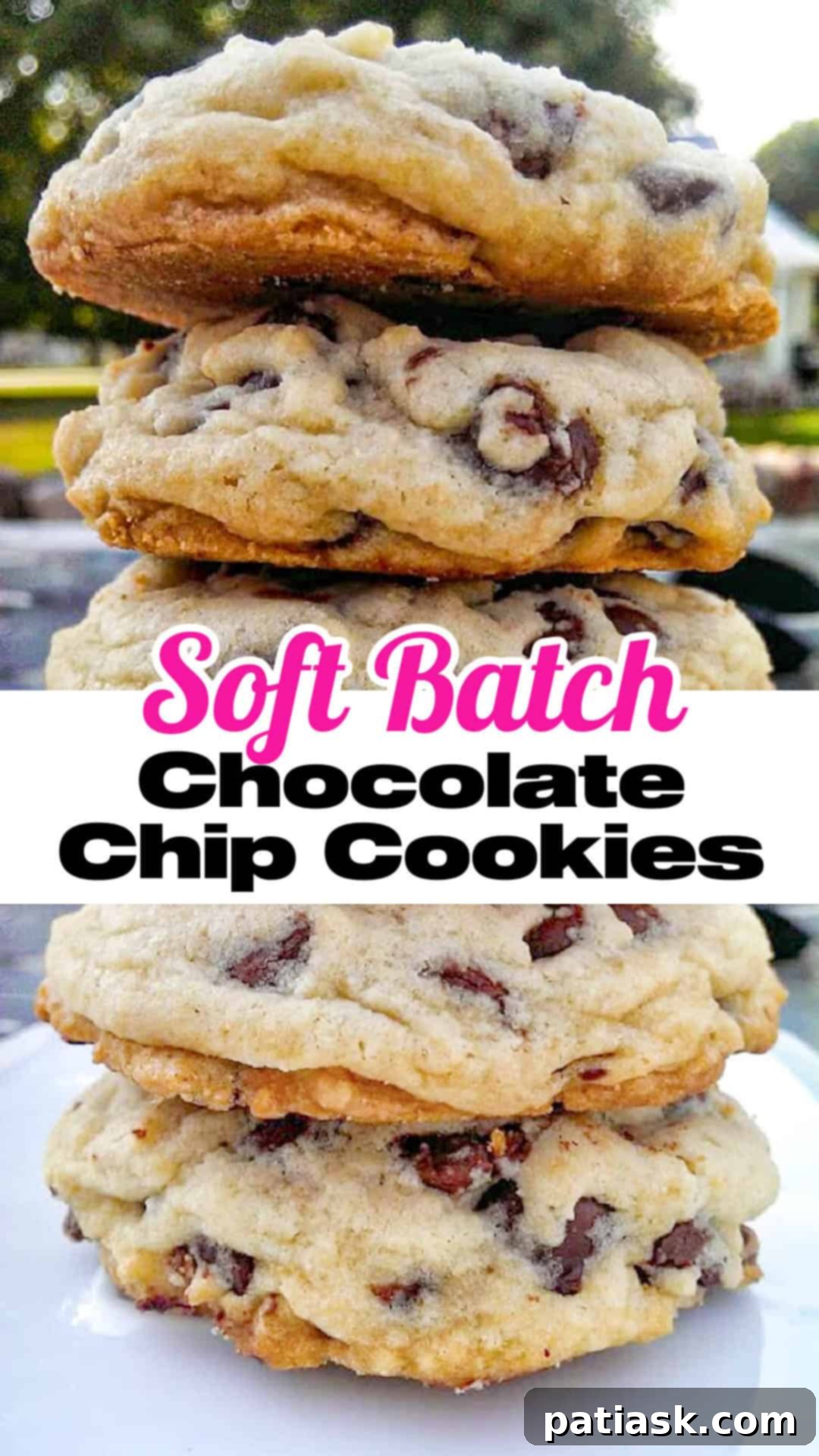 Ultimate Soft Batch Chocolate Chip Bliss 12 Soft Batch Chocolate Chip Cookies