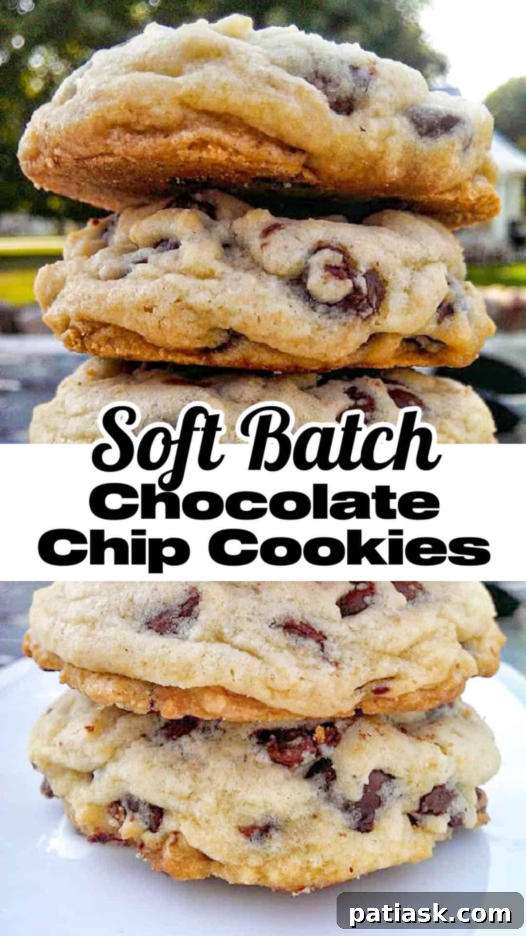 Ultimate Soft Batch Chocolate Chip Bliss 13 Soft Batch Chocolate Chip Cookies