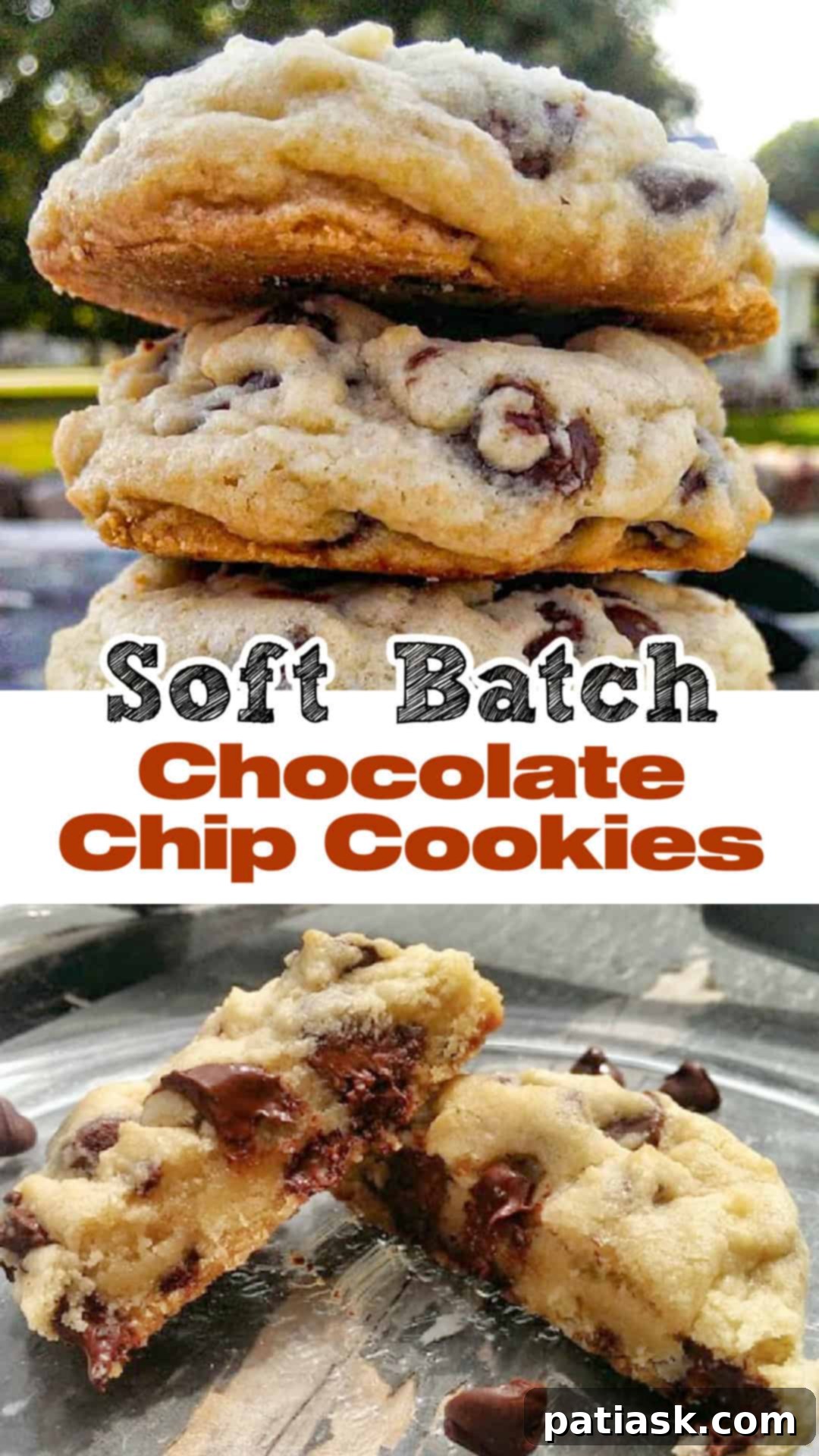 Ultimate Soft Batch Chocolate Chip Bliss 14 Soft Batch Chocolate Chip Cookies