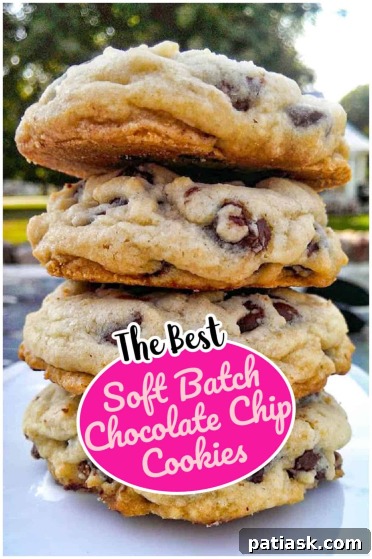 Ultimate Soft Batch Chocolate Chip Bliss 15 Soft Batch Chocolate Chip Cookies