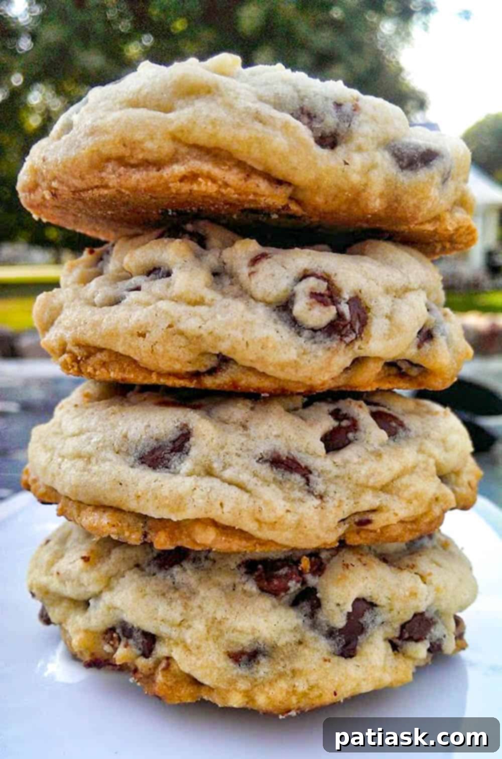 Ultimate Soft Batch Chocolate Chip Bliss 3 Chocolate Chip Cookies Recipe