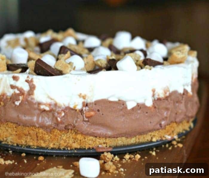 S’more Ice Cream Cake - S’more Dessert