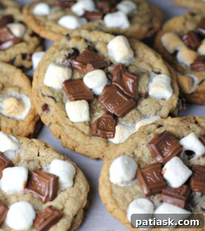 S’more Chocolate Chip Gooey Bliss Cookies - S’more Dessert