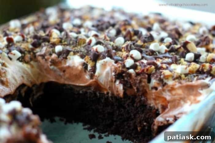 Chocolate Ganache S’More Cake - S’more Dessert