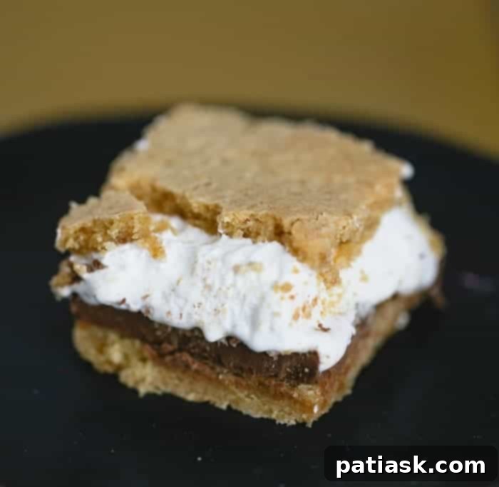 s'more dessert idea
