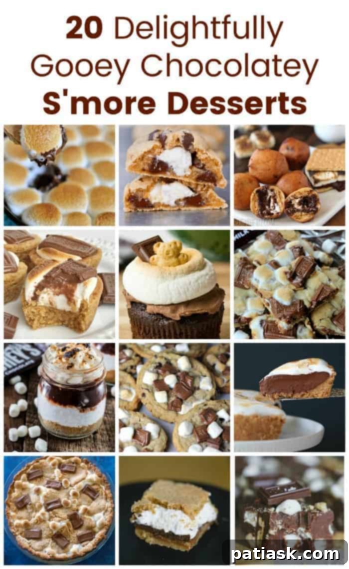 20 Delightfully Gooey Chocolatey S'more Desserts