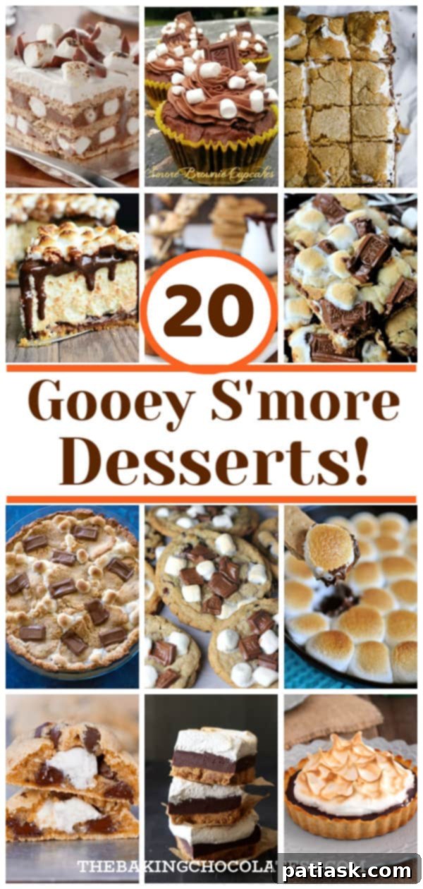 20 GOOEY S'MORE Desserts