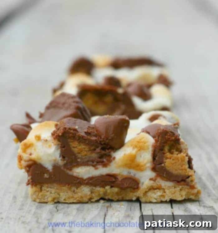 Reese’s S’mores Graham Cracker Candy