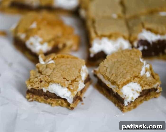 45 Delightful Easter and Spring Desserts 10 OMG S'mores Bars - easy easter desserts