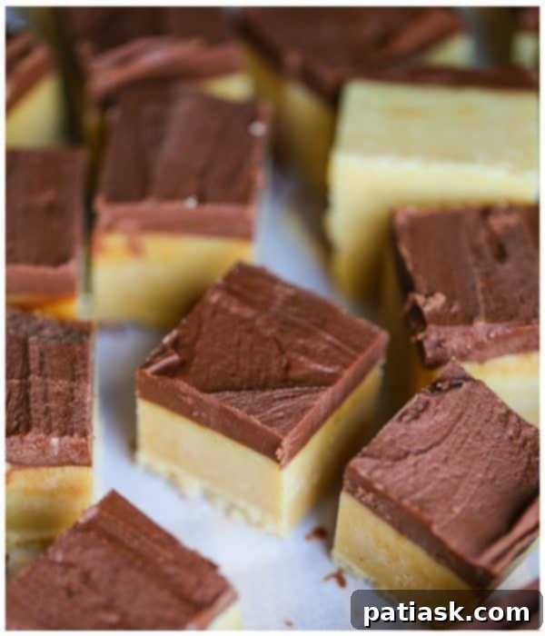 45 Delightful Easter and Spring Desserts 16 two tone buckeye fudge