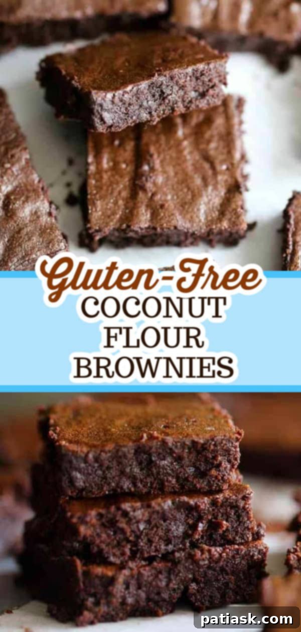 Simply Divine Coconut Flour Brownies 5 gluten free brownies