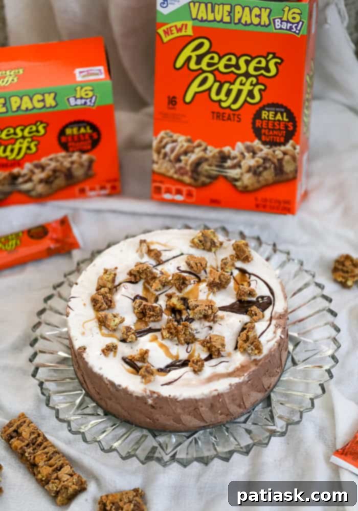 Reese's Puffs Treat Ice Cream Sundae Cake ready to serve