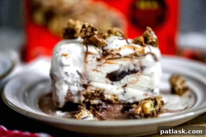 Reese's Puffs Treat Ice Cream Sundae Cake on a plate